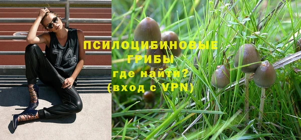 гашик Белокуриха