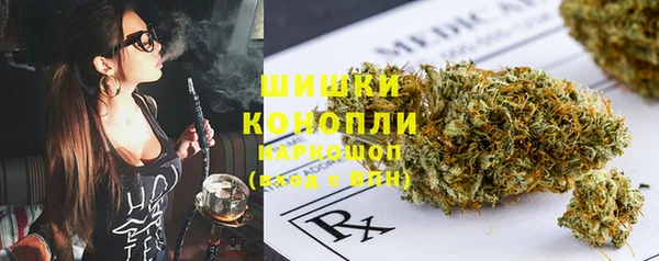 гашик Белокуриха