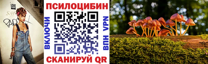 Купить где  Вятские Поляны  Галлюциногенные грибы Psilocybe 